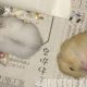 ハムスターの地下型巣箱の評判は？デメリットはある？